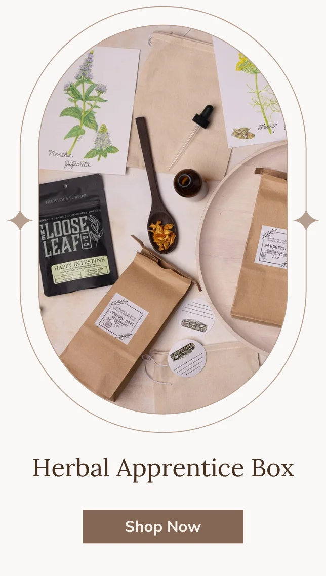Herbal Apprentice Box