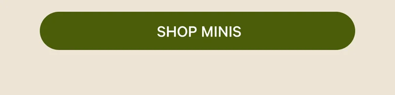 SHOP MINIS