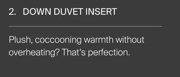 Down Duvet Insert. Plush warmth without overheating.