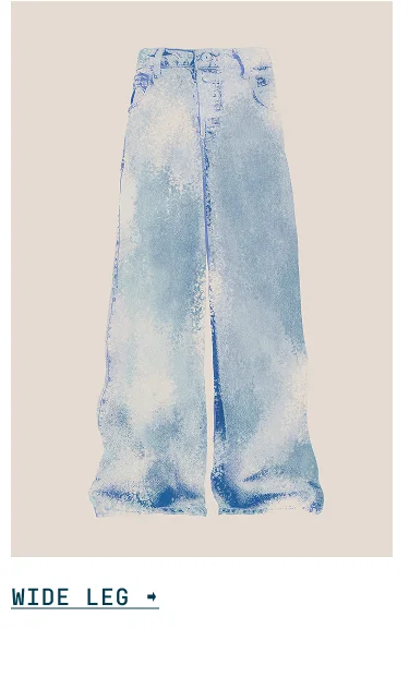 IMAGE-WIDE LEG