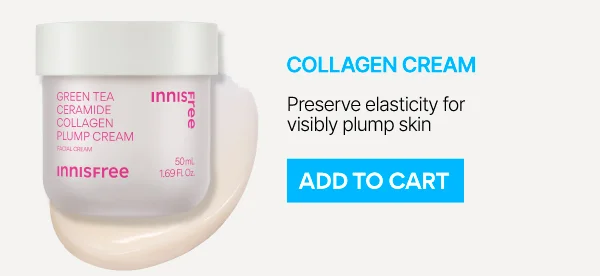 Green Tea Ceramide Collagen Plump Cream