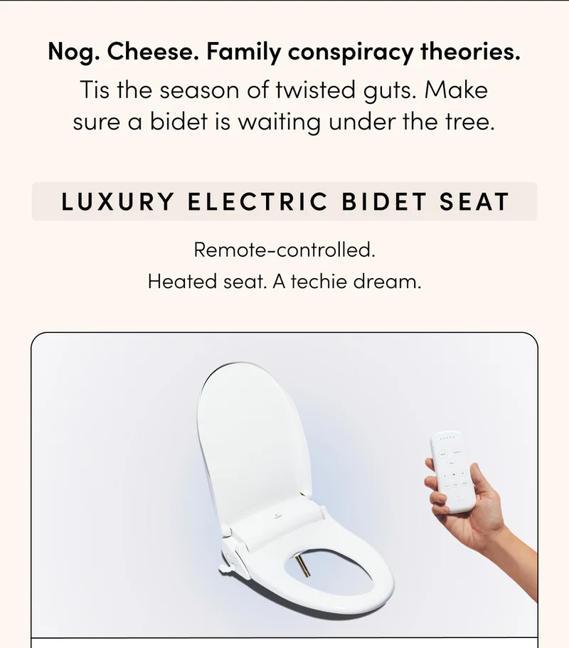 LUXURY ELECTRIC BIDET SEAT