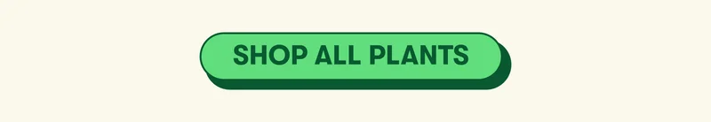 [SHOP ALL PLANTS]