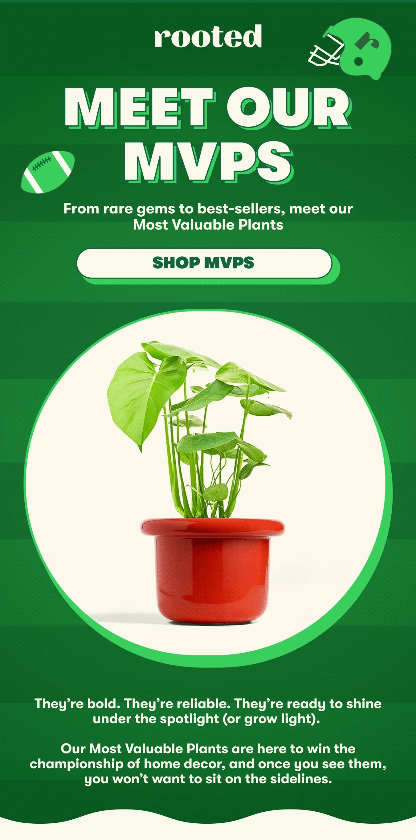 MEET OUR MVPs From rare gems to best-sellers, meet our Most Valuable Plants [SHOP MVPS] They’re bold. They’re reliable. They’re ready to shine under the spotlight (or grow light). Our Most Valuable Plants are here to win the championship of home decor, and once you see them, you won’t want to sit on the sidelines.