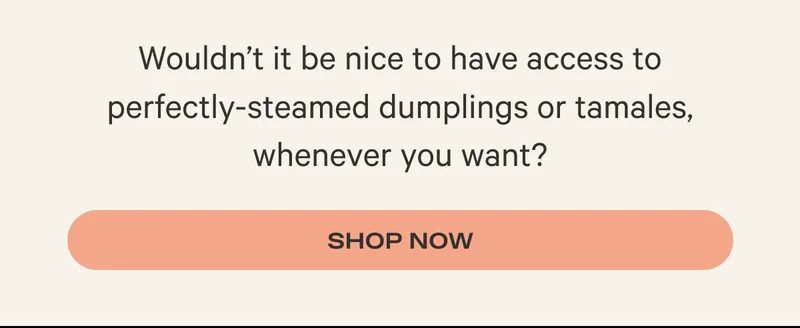 Wouldn’t it be nice to have access to perfectly-steamed dumplings or tamales, whenever you want? - Shop Now