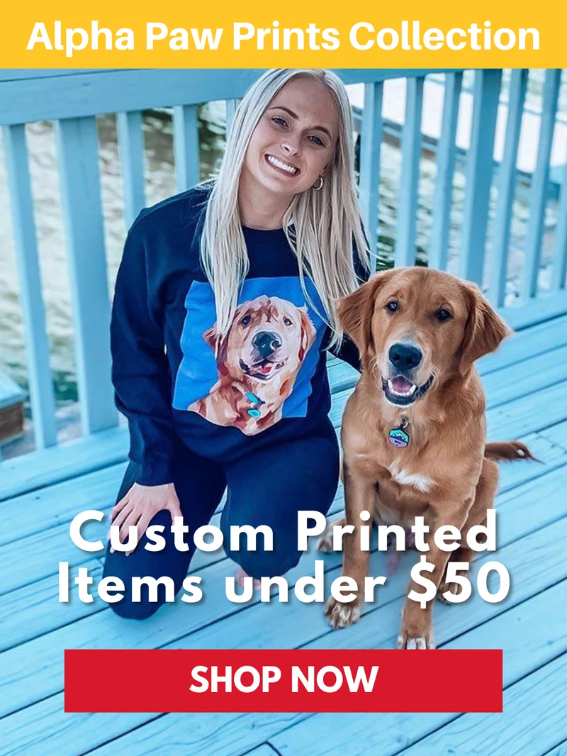 Bestsellers under $50