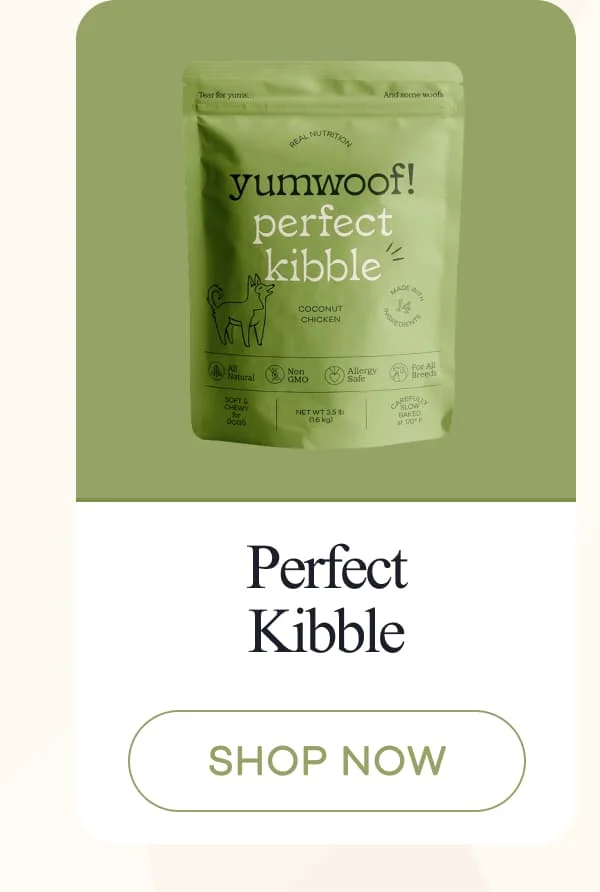 Perfect Kibble | shop now