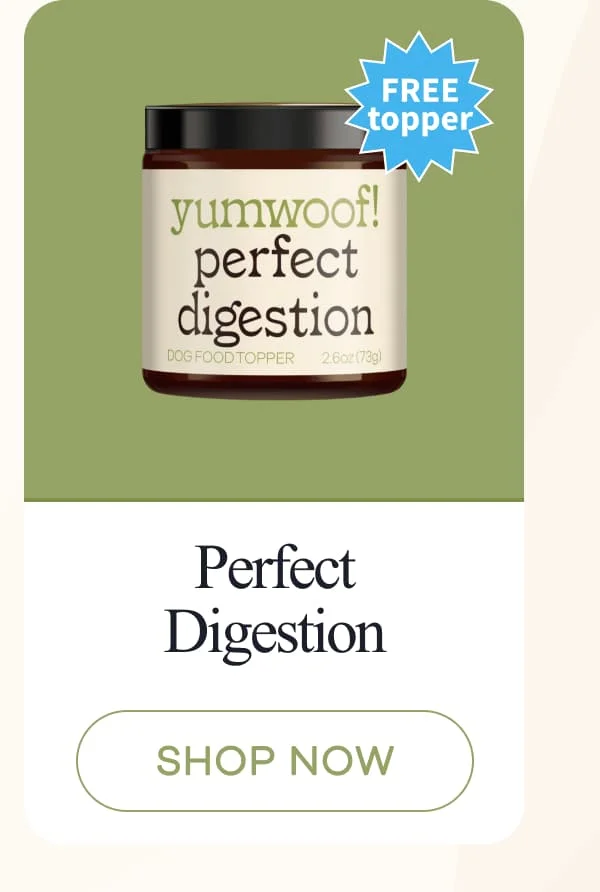 Perfect Digestion | shop now