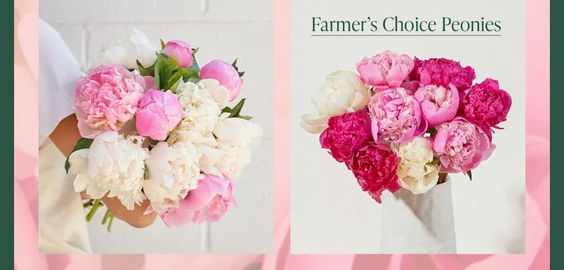 Farmer's Choice Peonies Bouq