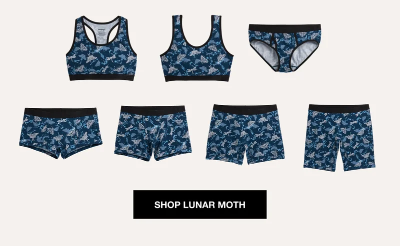 SHOP LUNAR MOTH