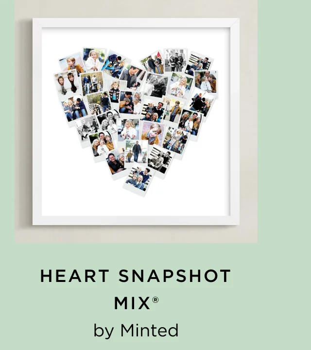 Heart Snapshot Mix®