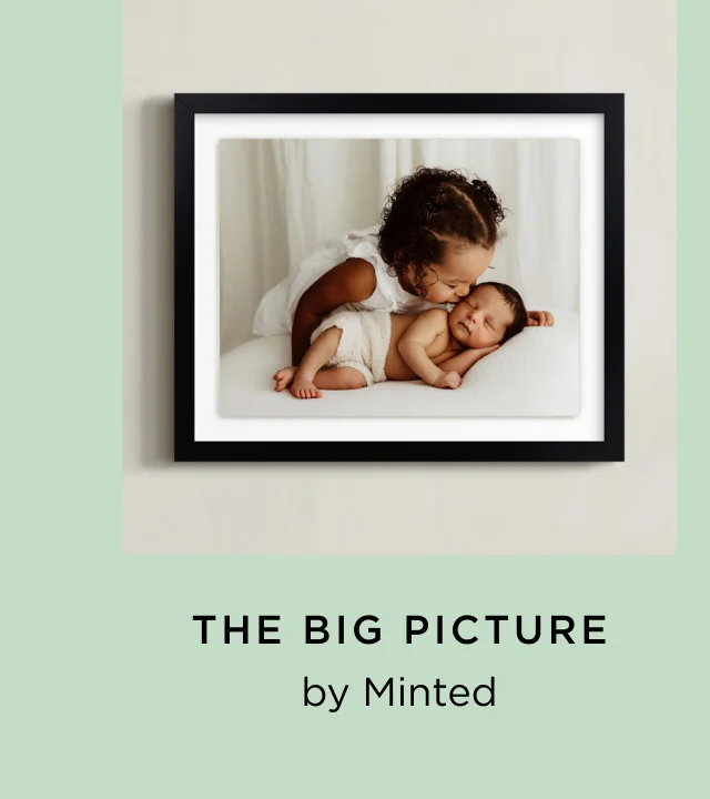 The Big Picture