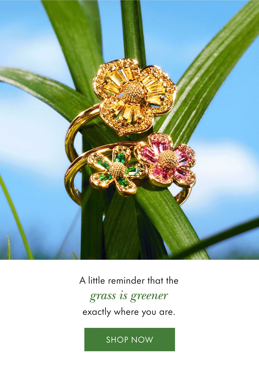 A little reminder that the grass is greener exactly where you are. SHOP NOW