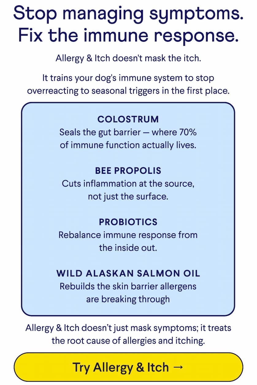 Text: Stop managing symptoms. Fix the immune response. Allergy & Itch doesn't mask the itch.  It trains your dog's immune system to stop overreacting to seasonal triggers in the first place.  Colostrum Seals the gut barrier — where 70% of immune function actually lives.  Bee propolis Cuts inflammation at the source, not just the surface.  Probiotics Rebalance immune response from the inside out.  Wild Alaskan salmon oil Rebuilds the skin barrier allergens are breaking through  Allergy & Itch doesn’t just mask symptoms; it treats the root cause of allergies and itching. CTA: Try Allergy & Itch →