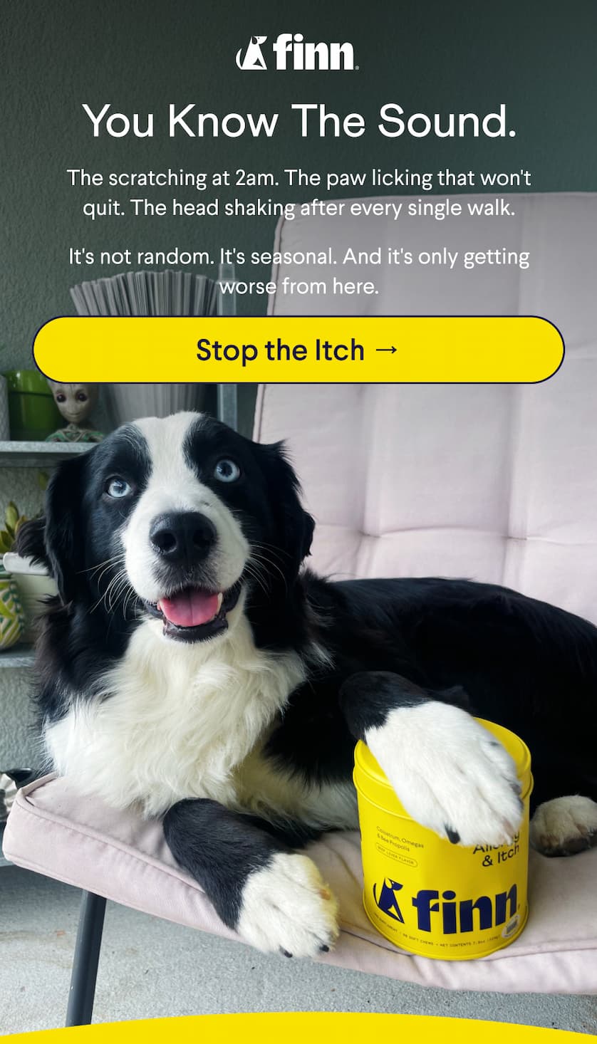 Finn Logo. Text: You know the sound. The scratching at 2am. The paw licking that won't quit. The head shaking after every single walk. &nbsp; It's not random. It's seasonal. And it's only getting worse from here.  CTA: Stop the Itch →