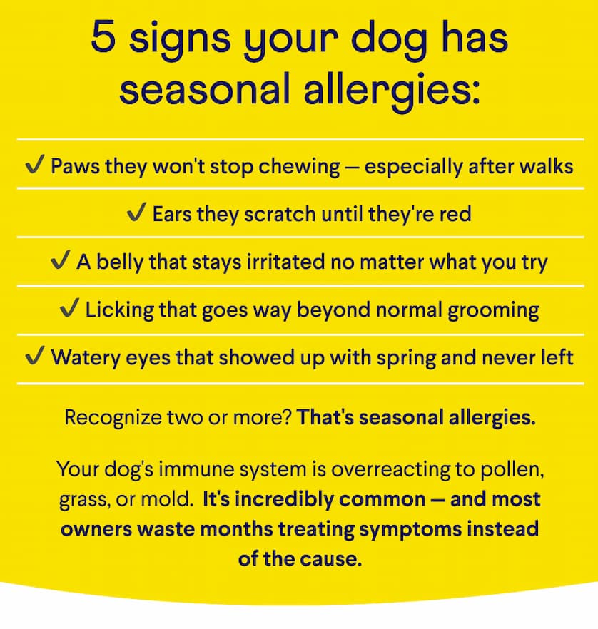Text: 5 signs your dog has seasonal allergies: ✔ Paws they won't stop chewing — especially after walks ✔ Ears they scratch until they're red ✔ A belly that stays irritated no matter what you try ✔ Licking that goes way beyond normal grooming ✔ Watery eyes that showed up with spring and never left  Recognize two or more? That's seasonal allergies. &nbsp; Your dog's immune system is overreacting to pollen, grass, or mold.  It's incredibly common — and most owners waste months treating symptoms instead of the cause.
