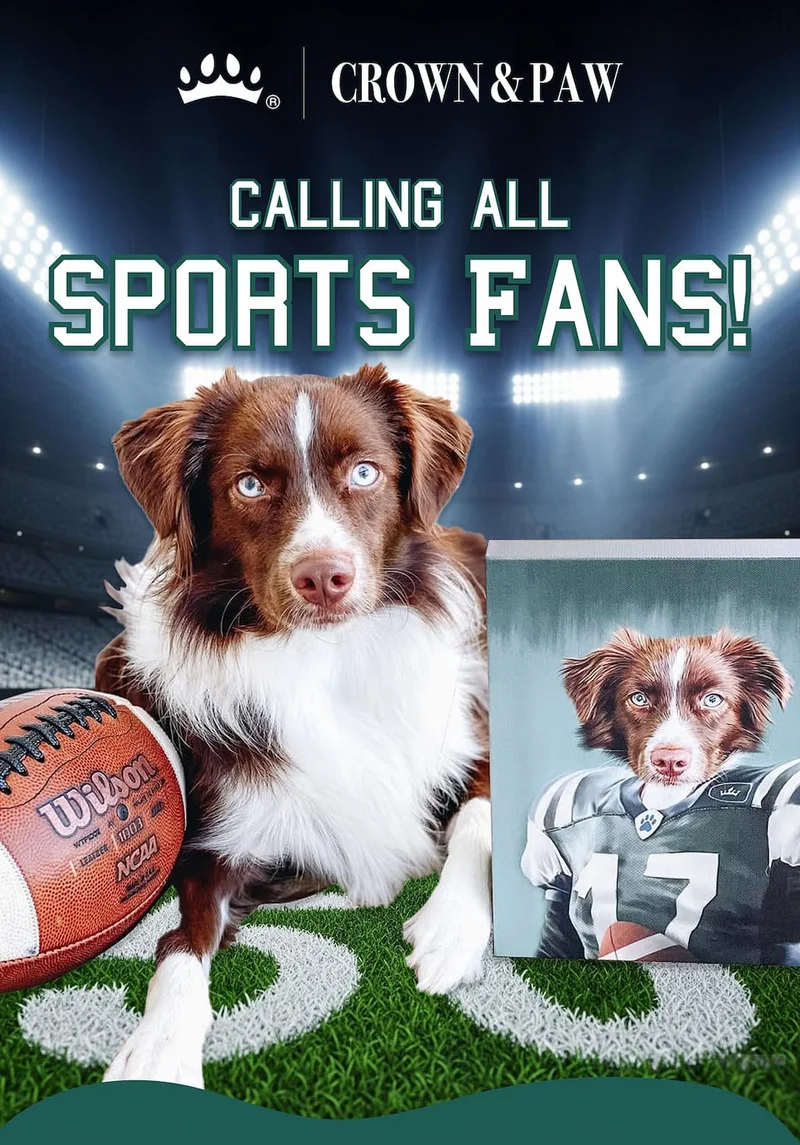 Calling all sports fans!