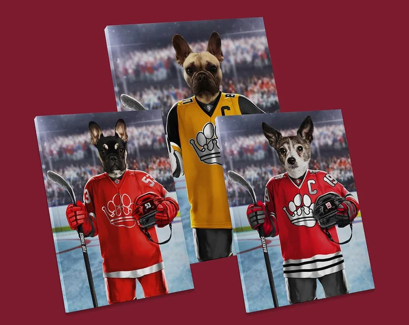 Ice hockey portraits