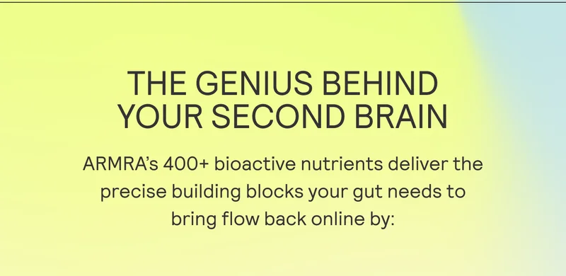 THE GENIUS BEHIND YOUR SECOND BRAIN