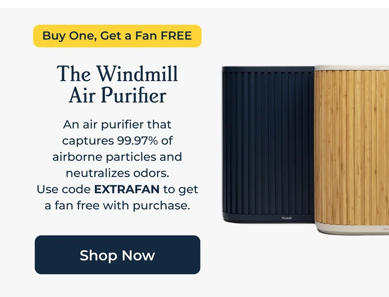 The Windmill Air Purifier