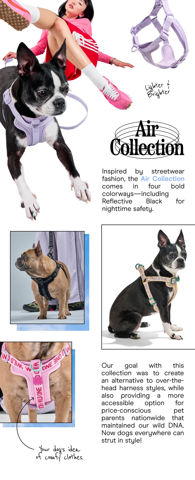 AIR COLLECTION Inspired by streetwear fashion, the Air Collection comes in four bold colorways—including Reflective Black for nighttime safety—so dogs everywhere can strut in style.