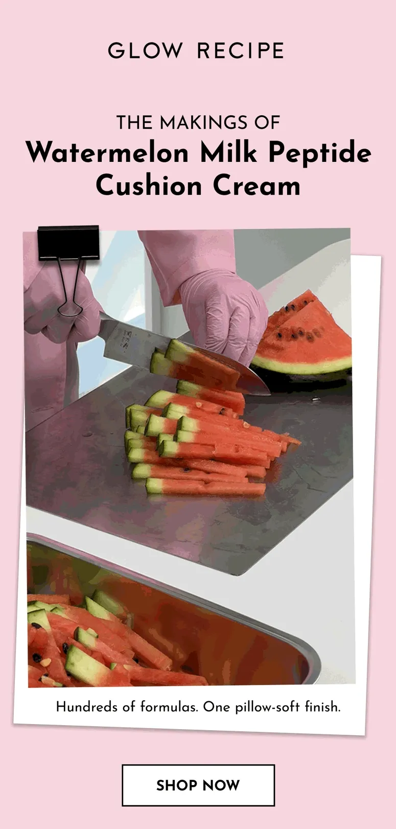 The Makings of Watermelon Milk Peptide Cushion Cream
