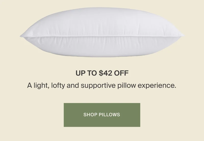 Save on Pillows