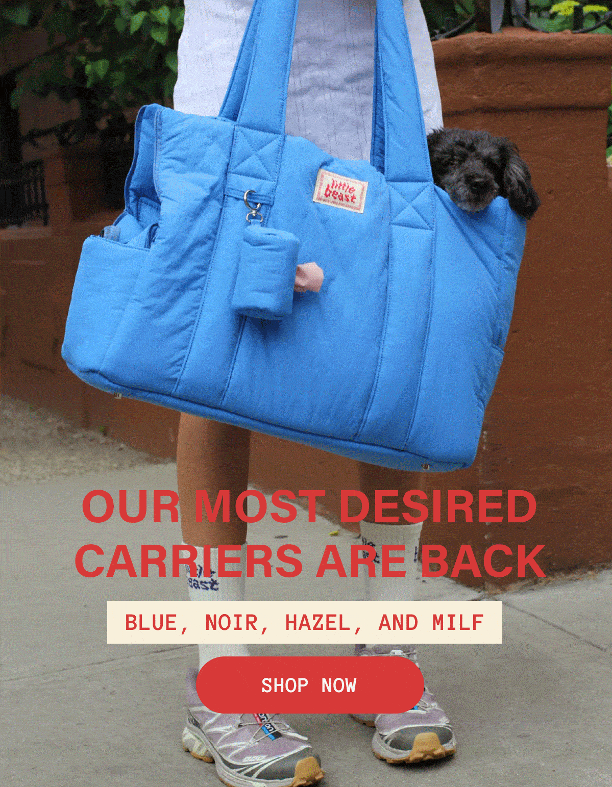 Our Most Desired Carriers Are Back