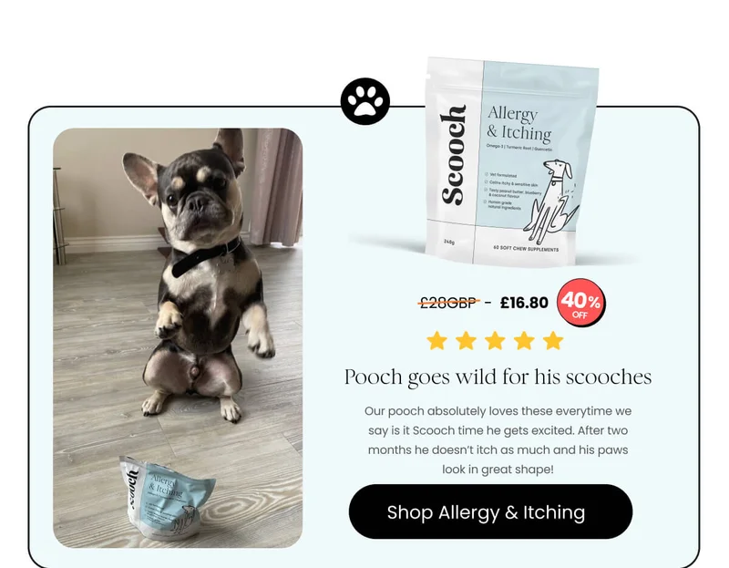 Allergy and Itching