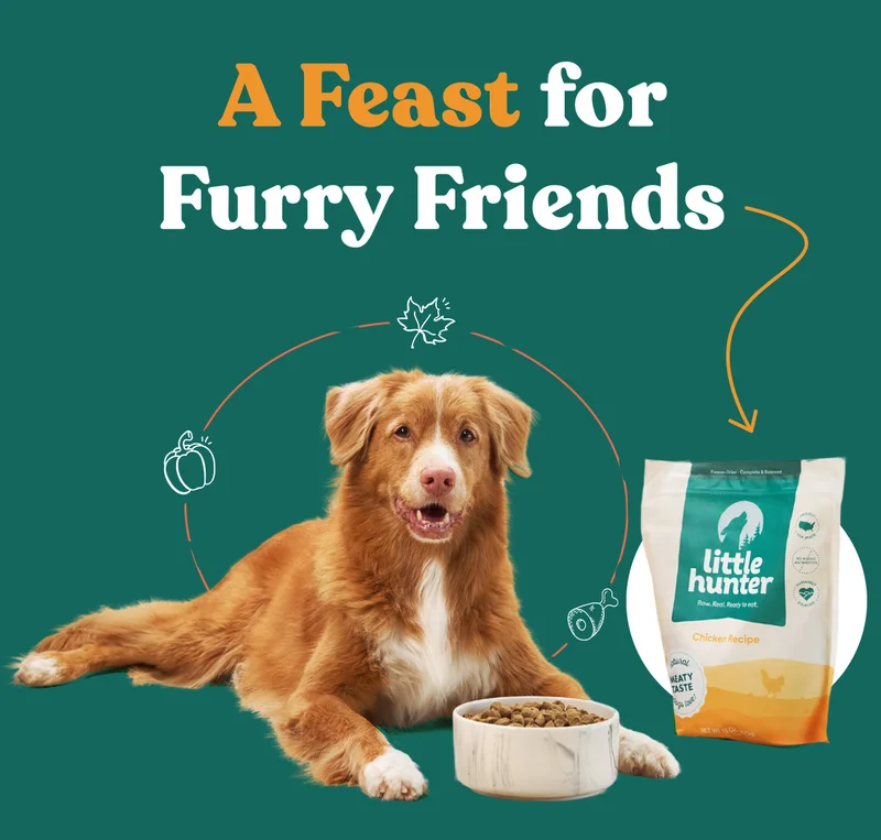 A Feast For Furry Friends