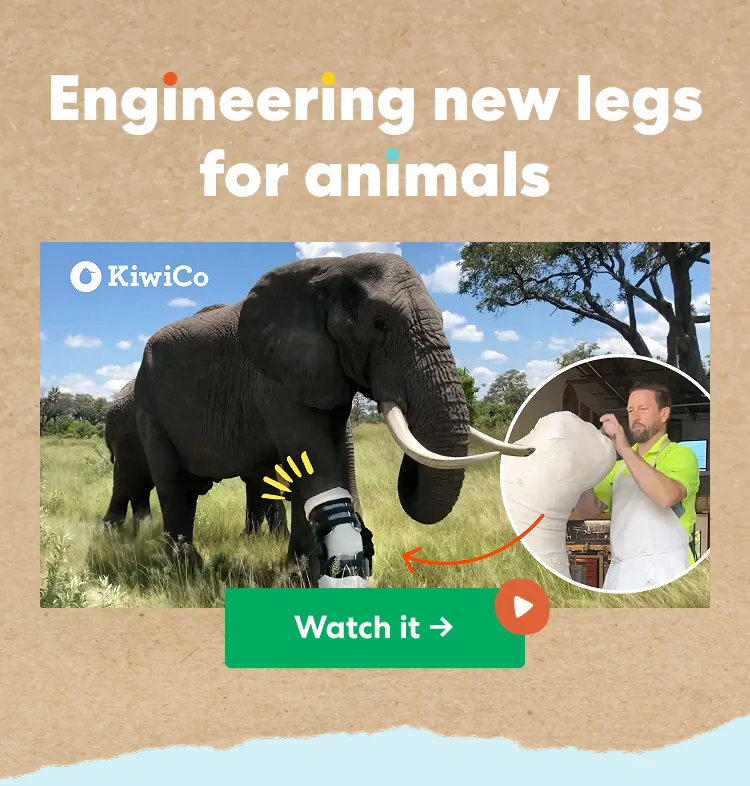 Engineering new legs for animals Engineering new legs for animals