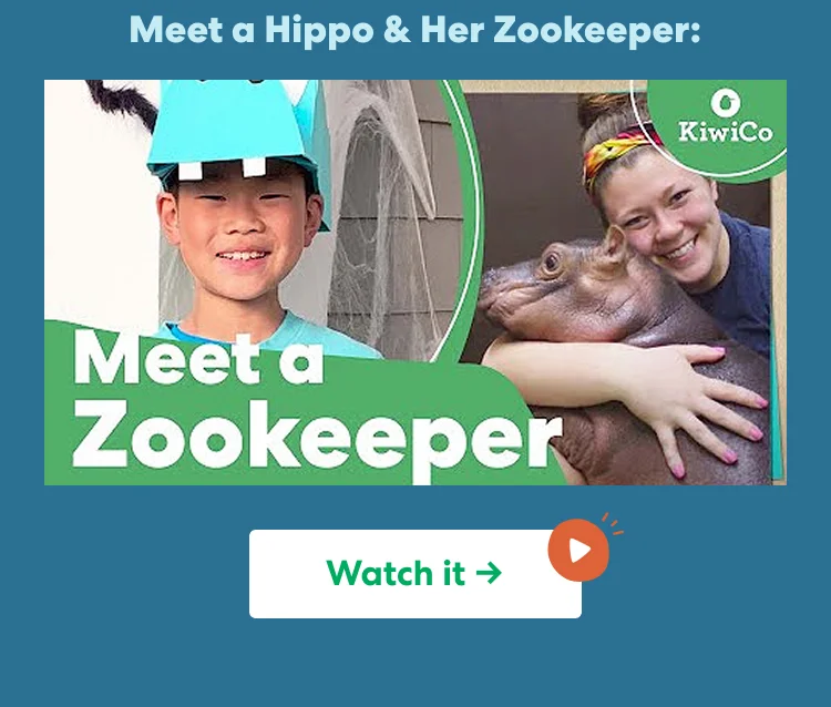 Meet a Hippo & Her Zookeeper Meet a Hippo & Her Zookeeper