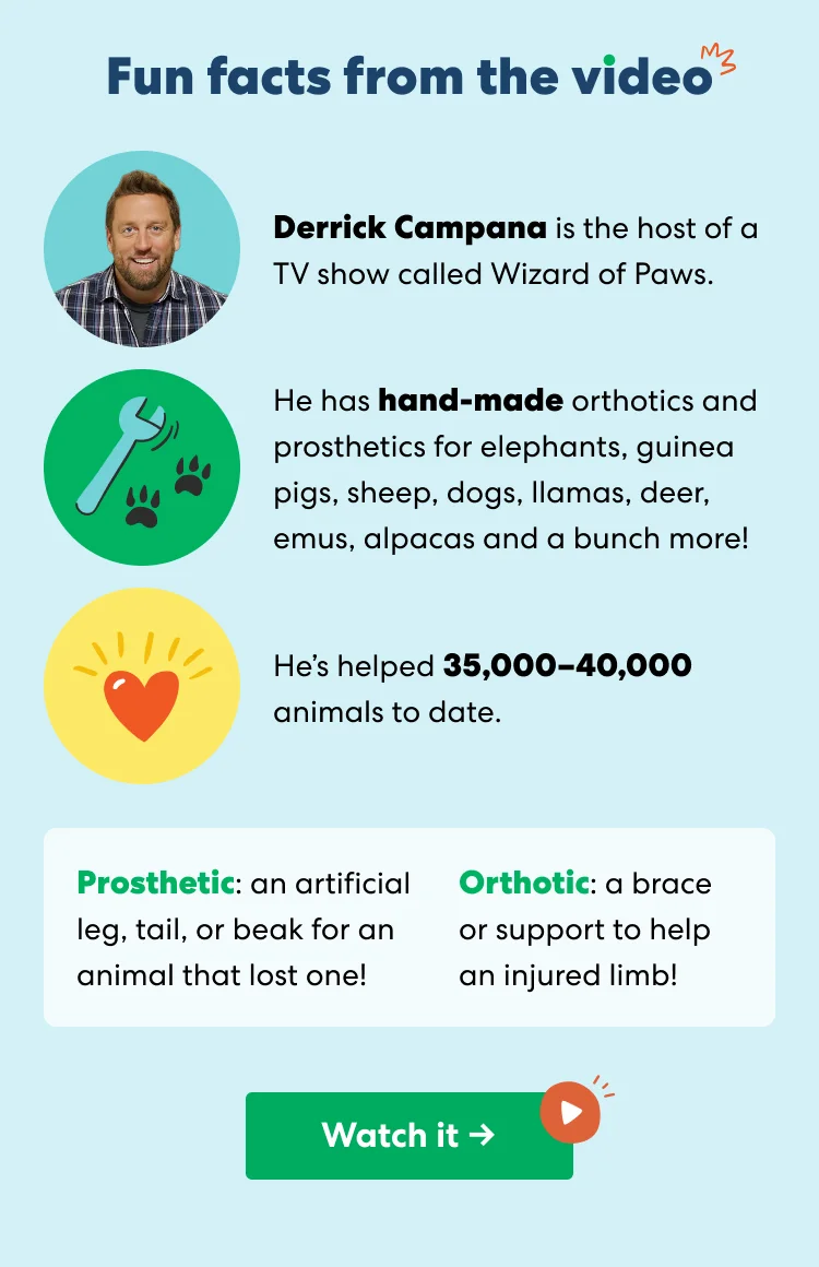 Fun facts from the video Fun facts from the video