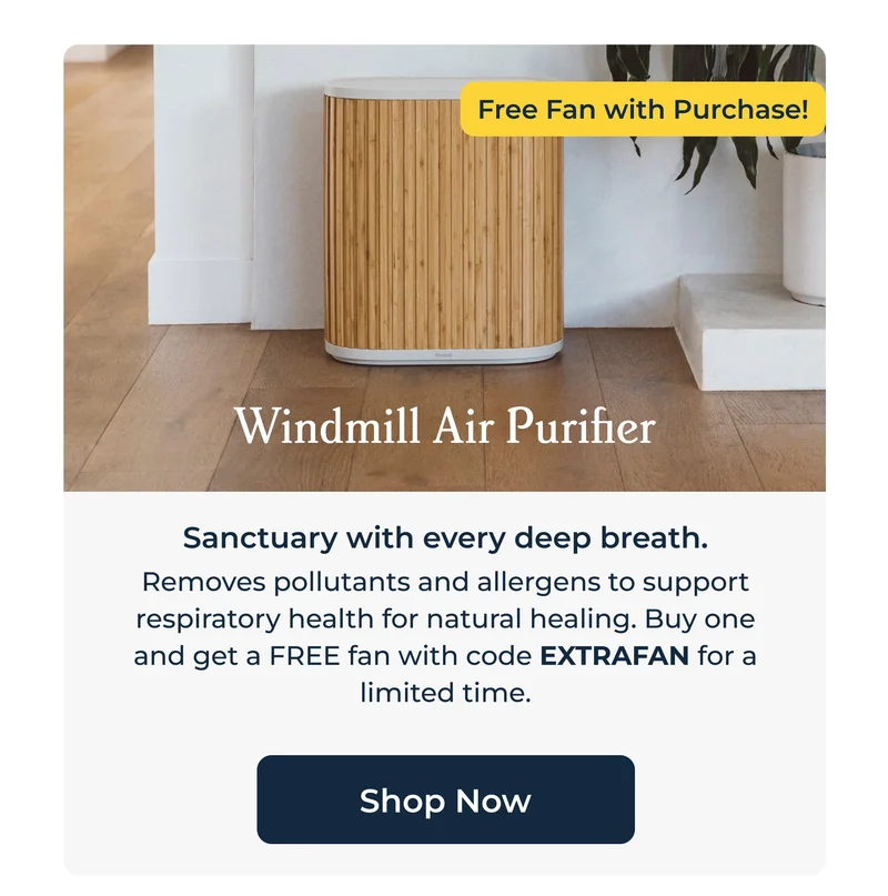 Windmill Air Purifier