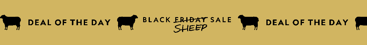 Black Friday Sale