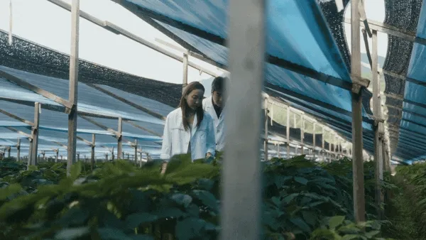 Episode 3: Cultivating Care