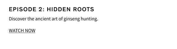 Episode 2: Hidden Roots