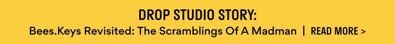 Studio Story – Bees.Keys Revisited: The Scramblings of a Madman