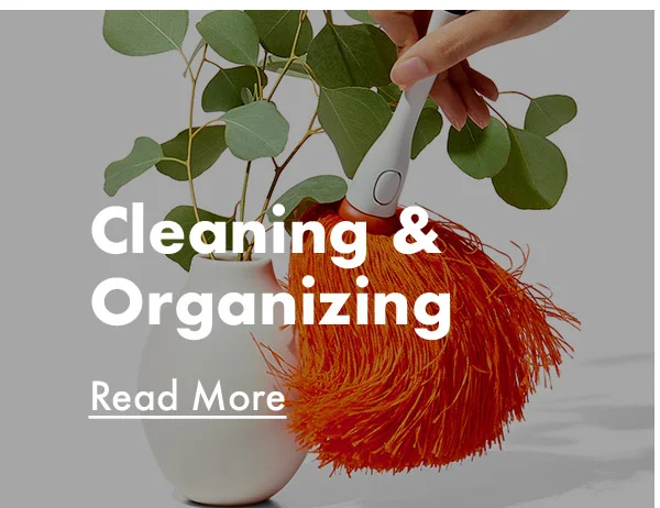 cleaning & organizing
