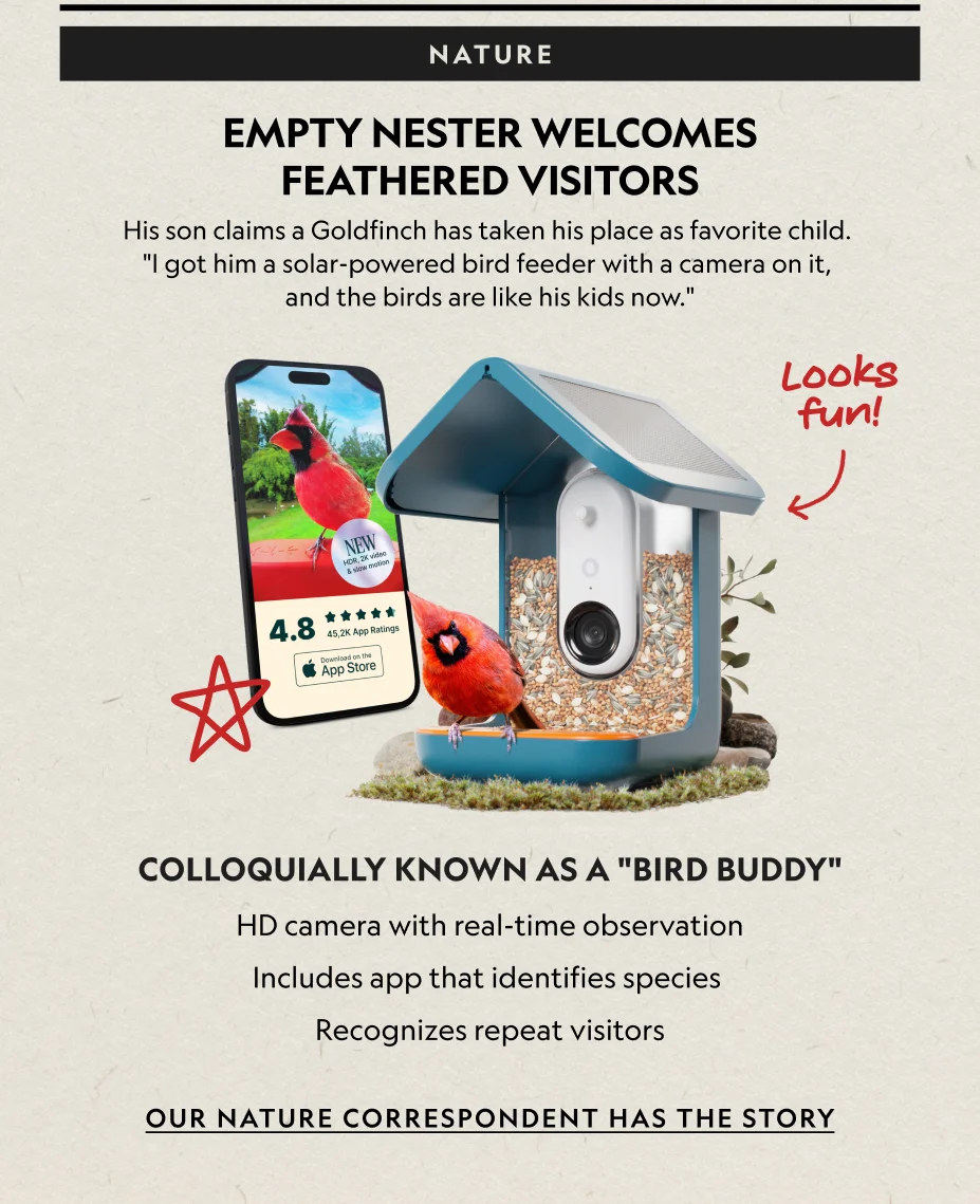 Solar Smart Bird Feeder Pro