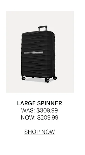 Large Spinner