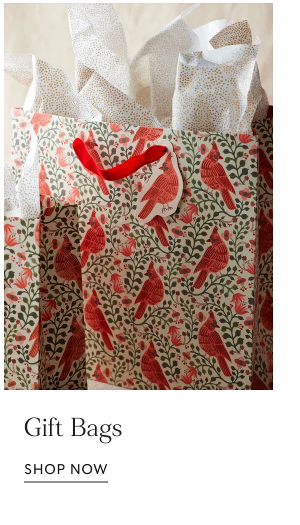 Gift Bags shop NOW