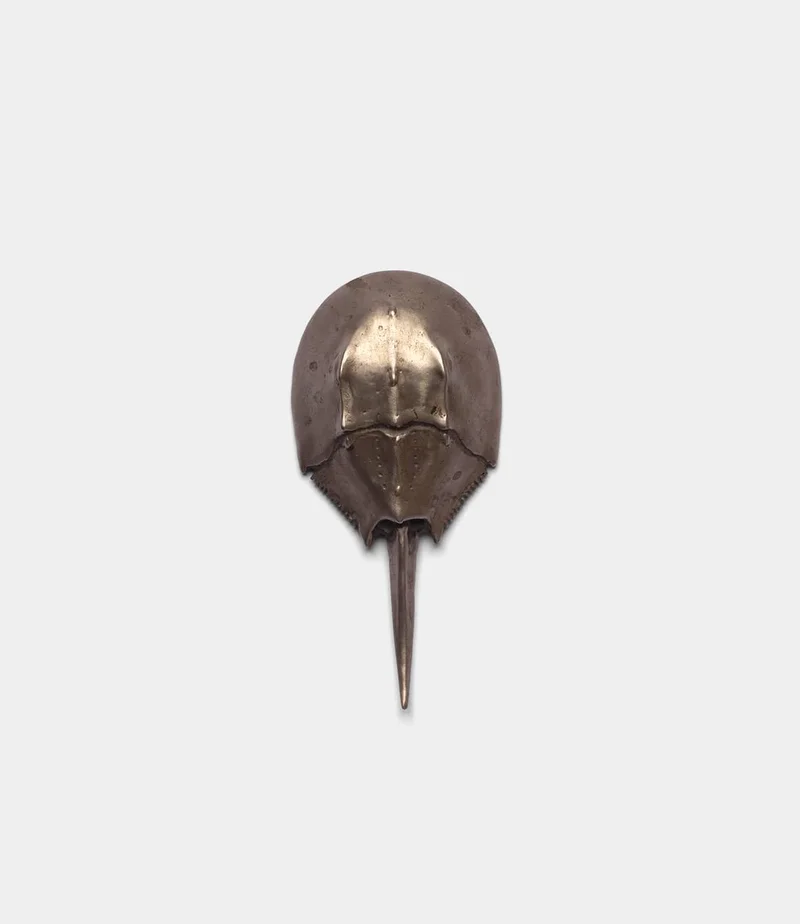 Image of Horseshoe Crab Opener