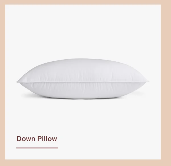 Save on Down Pillow