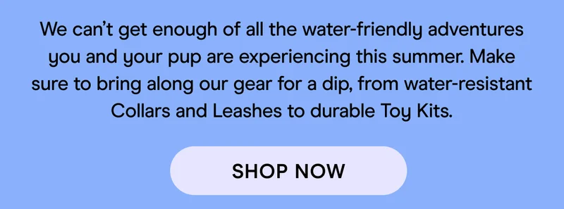 We can’t get enough of all the water-friendly adventures you and your pup are experiencing this summer. Make sure to bring along our gear for a dip, from water-resistant Collars and Leashes to durable Toy Kits.