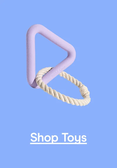 Shop Toys