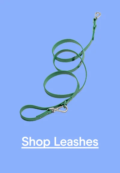 Shop Leashes