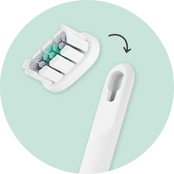 Brush Pod