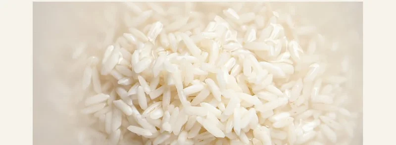 Rice