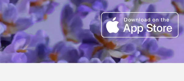 Download on The App Store